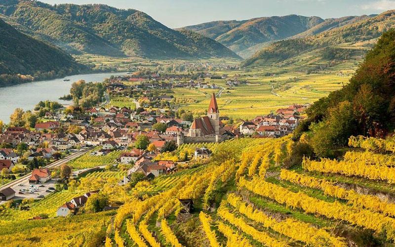 穆斯林為何移民歐洲？探究背后的原因與影響